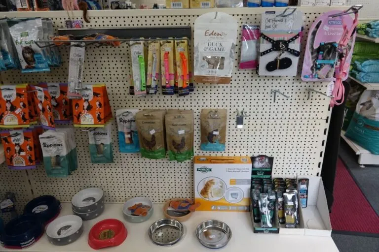 cat accessories