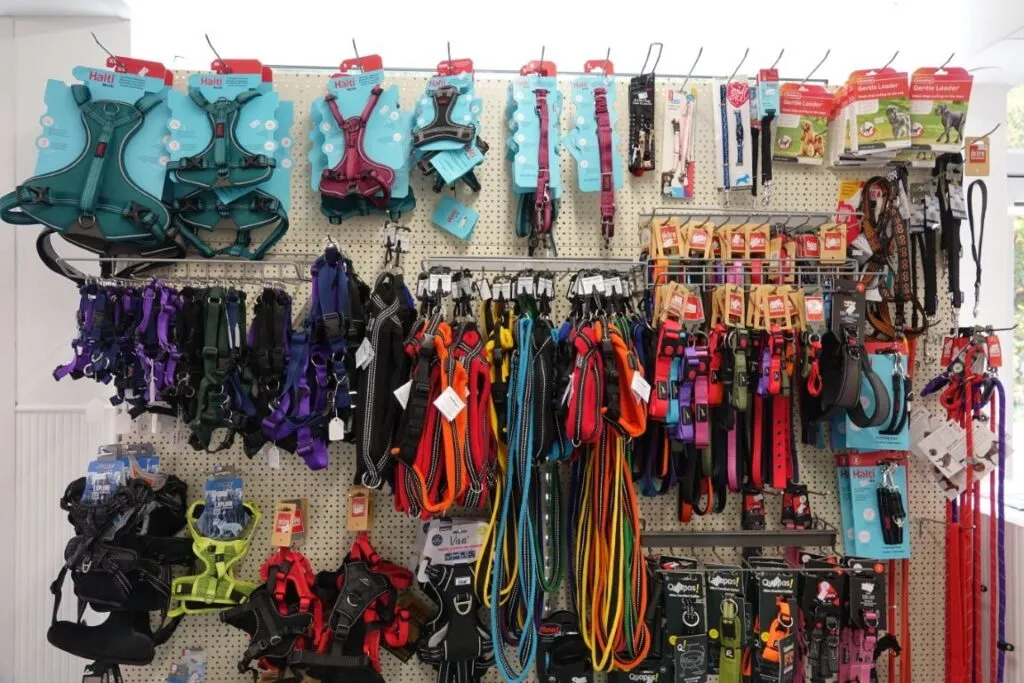 dog leads (medium)