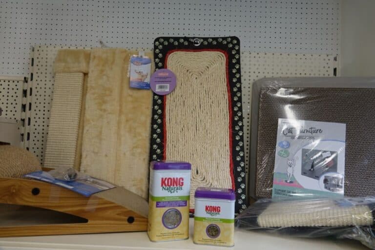 cat accessories (medium)