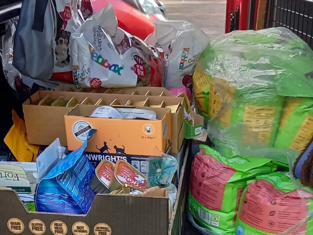 pet donations 3
