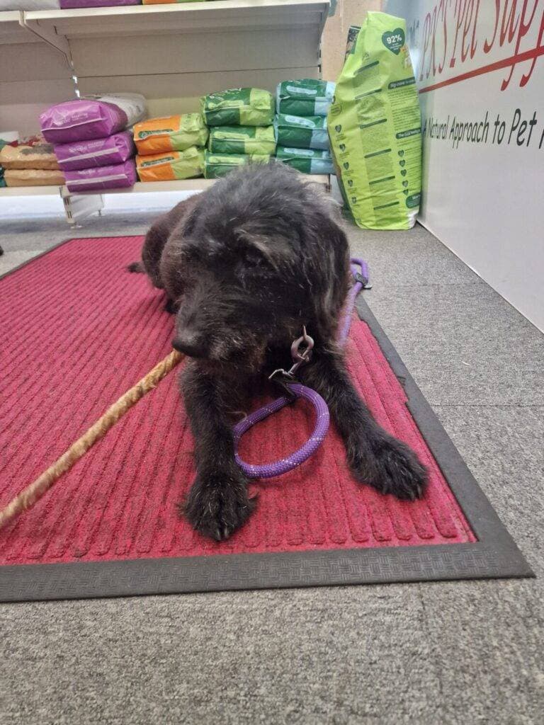 20240720 125039