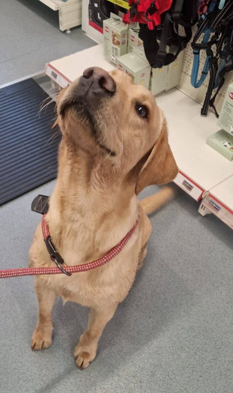 20260206 131608