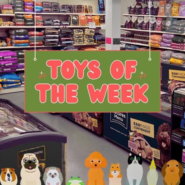Toys of the Week ♥️🧸