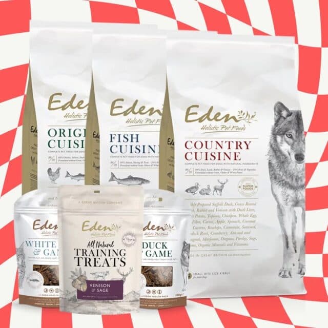 Fuel every adventure with the best from Eden!

From Semi-Moist and Country Cuisine to Fish Cuisine, treats, and more - we stock a wide variety of natural, holistic dog food to suit every pup’s taste and needs ♥️🐶