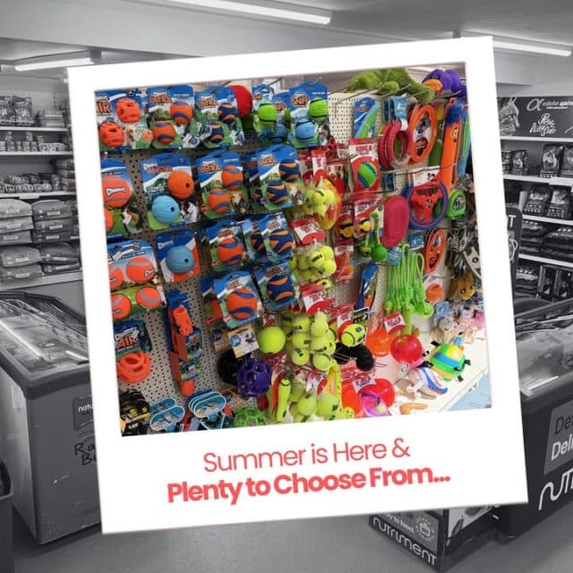 Ready for summer playtime? 🐶☀️

We’ve got your dog covered with a huge range of toys, balls, floats, frisbees, tug toys, fetch toys and more - perfect for garden fun, beach days, and keeping tails wagging all summer long!