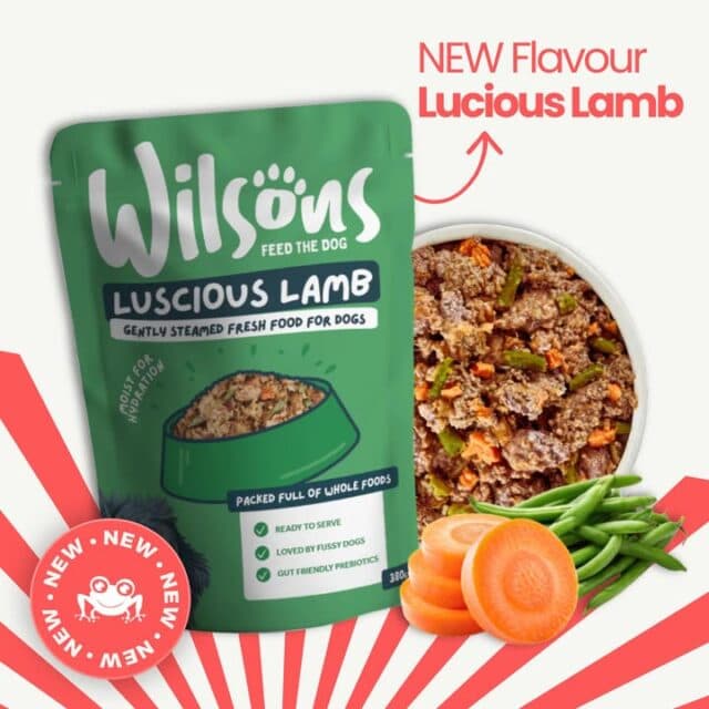 New in at PK’s! 🐶

Say hello to Wilsons Luscious Lamb – a delicious new recipe made with fresh meat, natural ingredients and gut-friendly goodness.