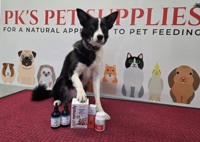 Happy Friday 🌺 😊 
As most of you are aware, the air show is on in a couple of weeks. 
Miss Maggot isn't a fan of the loud planes. Luckily for her we have lots of ways to help her cope. 
Pop in and see us and we can take you through the options 😊

 #petshop #dogsofinstagram #petlovers