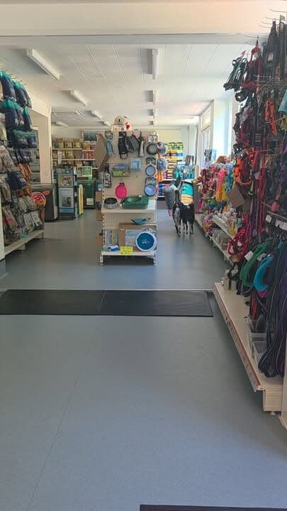 Taz and Maggot were bored yesterday, they really don't cope well with the heat...much like me 😅
A quick trip to work and some fun and games in the air-conditioned shop cheered them up no end, they got to practice their self-service skills as well ❤️😂
Looking forward to a fabulous day  😊 

 #petshop #dogsofinstagram #petlovers
