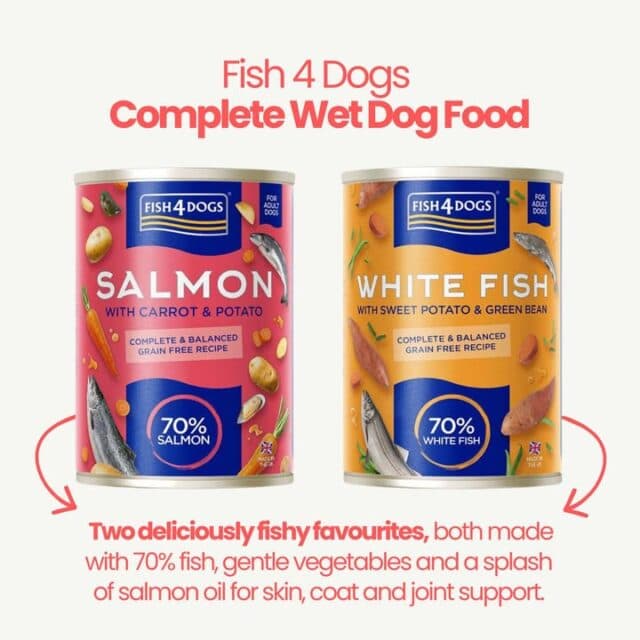 🐟 Fish4Dogs Complete Wet Food!

Available in two tasty recipes:
💗 Salmon with Carrot & Potato
🧡 White Fish with Sweet Potato & Green Bean

Made with 70% fish, grain-free ingredients and enriched with salmon oil to help support healthy skin, a shiny coat and happy joints.