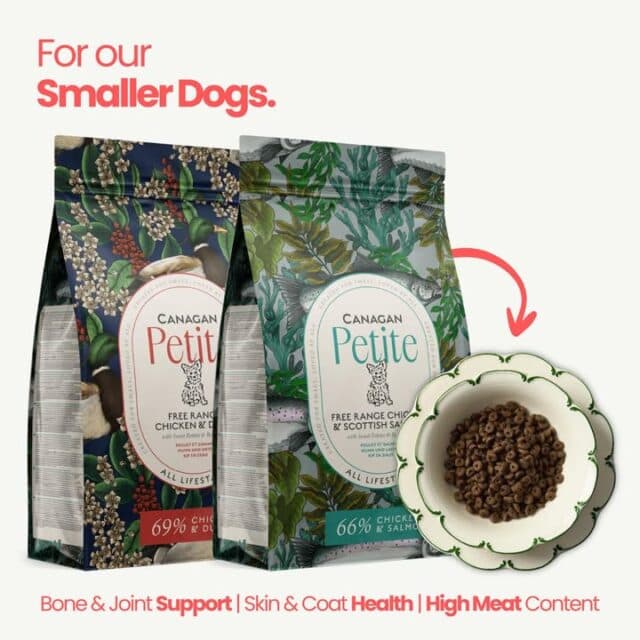 🐾 Big nutrition for little dogs.

Canagan Petite is specially crafted for smaller breeds, with smaller kibble packed full of high-quality ingredients to support their health every day.

✔️ High meat content
✔️ Bone & joint support
✔️ Healthy skin & coat
✔️ Grain-free recipe

Available in-store now!