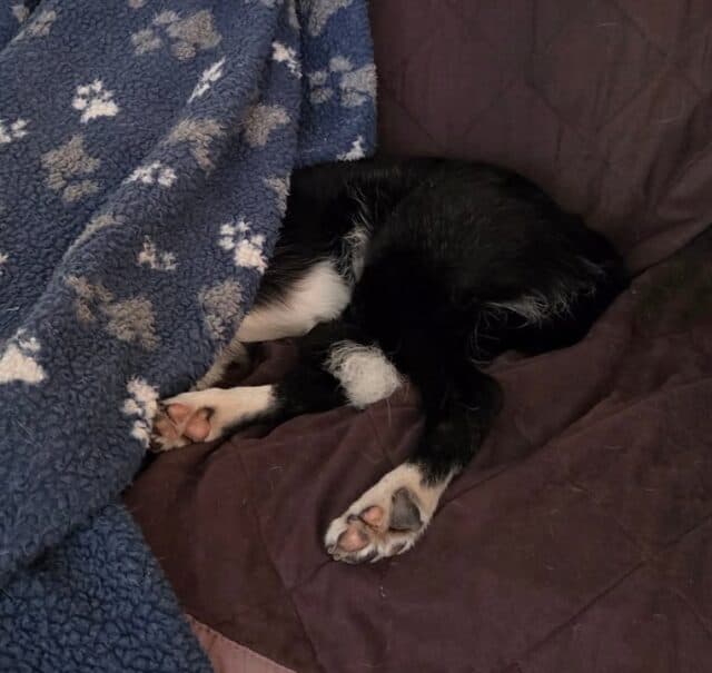 When you have slept through three alarms and the emergency back up aka as Miss Maggot fails as well 😱

The shop will be open on time....just don't expect any intelligent conversations until lunchtime 😂😂