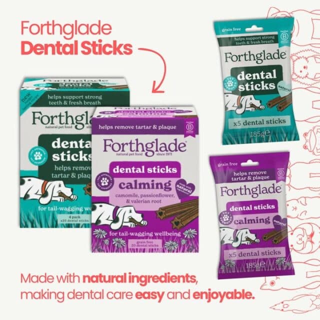 Healthy teeth, happy tails. 🐾

Treat your dog to a dental chew that’s packed with natural goodness. Forthglade Dental Sticks help support strong teeth, fresh breath and reduce plaque & tartar – with grain-free recipes they’ll love!