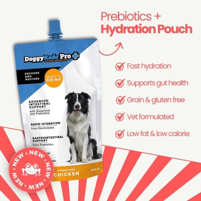 Hot weather calls for extra hydration! 💧🐶

Help keep your dog hydrated this summer with DoggyRade Pro+ – a ready-to-drink hydration pouch that supports gut health while replenishing fluids.

Perfect after walks, adventures or warm days in the garden! 🐾