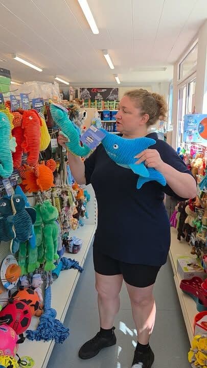Happy Saturday 🌺 😊
Thankfully it's a little cooler today...it's been a bit harsh to say the least. Nothing was going to stop Sally having some fun with the new toys that came in 😂😂😂 #petshop #dogsofinstagram #petlovers