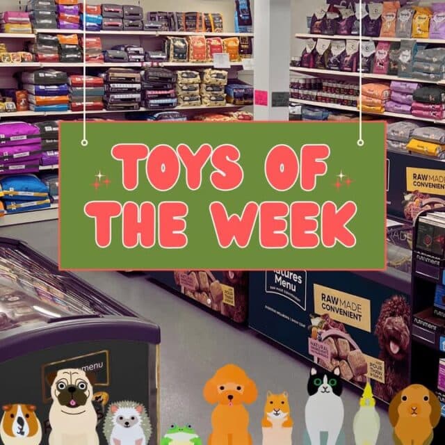 Toys of the week ♥️🧸