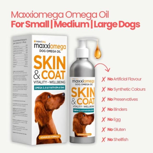 Give their skin & coat a little extra support ❤️🩹
Maxxiomega Dog Omega Oil is packed with Omega 3, 6 & 9 with EPA & DHA, helping to support healthy skin, a glossy coat, vitality and overall wellbeing.
Suitable for small, medium and large dogs, and with no artificial flavours, synthetic colours, preservatives, binders, egg, gluten or shellfish.
Available now at PK’s Pet Supplies.