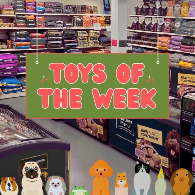 Toys of the week ♥️🧸