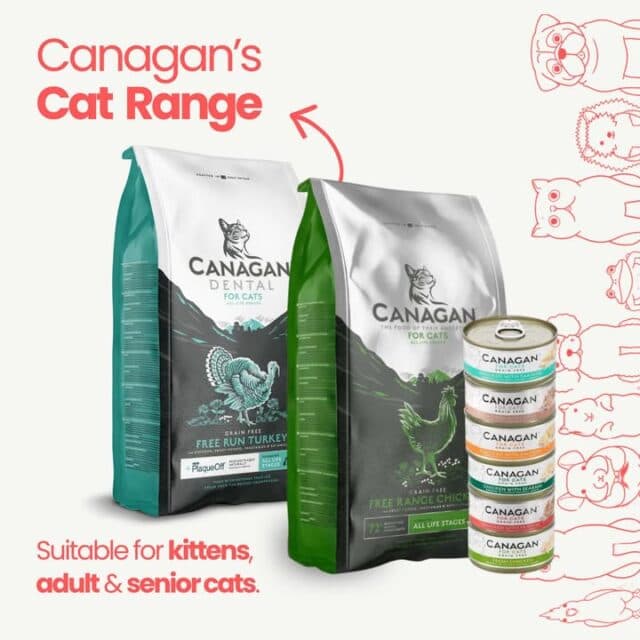 Something for every stage of their nine lives.
The Canagan Cat Range is suitable for kittens, adults and senior cats, with both dry and wet food options available 🤩