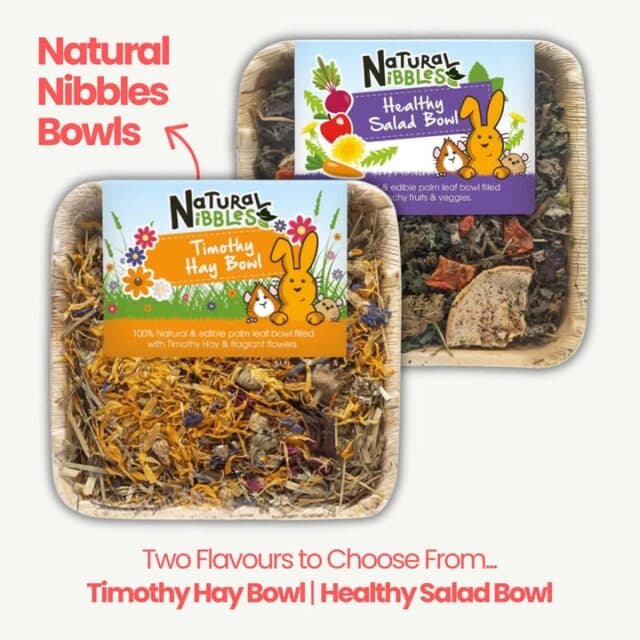 We stock Natural Nibbles too!
Choose from the Timothy Hay Bowl or Healthy Salad Bowl, a tasty little treat for rabbits and small animals ♥️