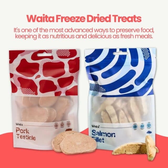Treat time just got better 🐾
Waita freeze-dried treats are packed with flavour and goodness, helping to preserve the nutrition of fresh food.
Available in pork testicle and salmon fillet - pop in and grab a bag for your pet!