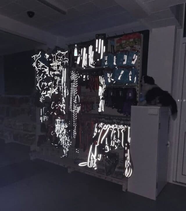 Must say,I'm quite impressed by how reflective our harness collection is...😀