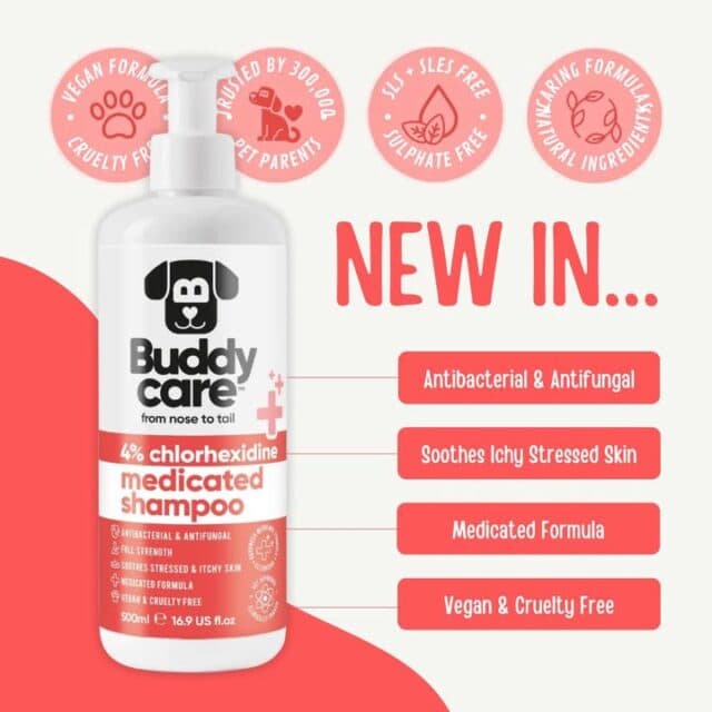 NEW IN 👏🏻♥️
Great for keeping your pet’s skin clean and cared for, Buddycare Medicated Shampoo helps soothe itchy, stressed skin with its antibacterial & antifungal formula.